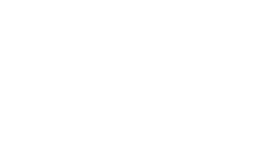MCS Cargo